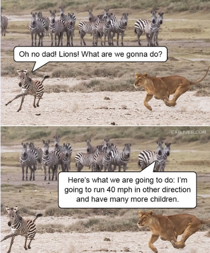 lions.png