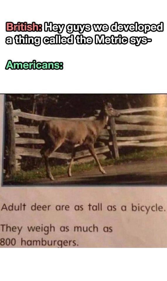 B73A070E-86DF-4F1D-96D5-D9FC6ABA5706.jpeg