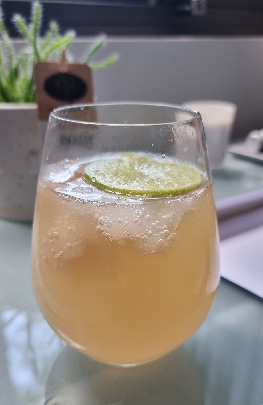 Lychee and Guava Seltzer 2.jpg