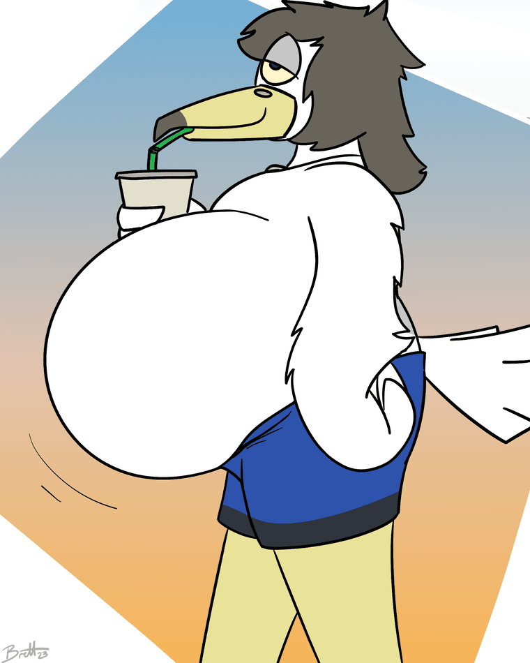 brettshepsky-further-seagull-content-done-as-a-warmup.png