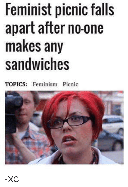 0_1485204404326_feminist-picnic-falls-apart-after-no-one-makes-any-sandwiches-topics-4395316.png